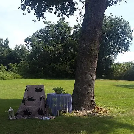 D'aria Abbadia di Fiastra