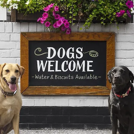 D'aria 3* Abbadia di Fiastra