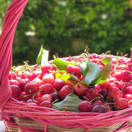 D'aria 住宿加早餐酒店