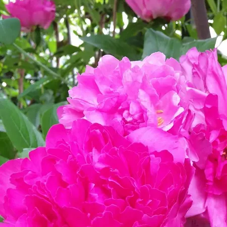 Bed & Breakfast D'aria 3*