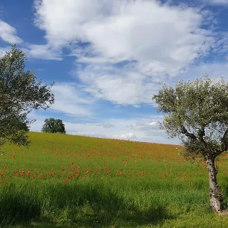 D'aria 住宿加早餐酒店 3*
