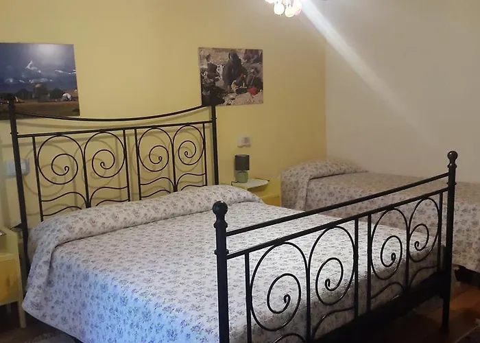 D'aria